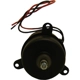 Purchase Top-Quality Radiator Fan Motor by GLOBAL PARTS DISTRIBUTORS - 2311421 pa2