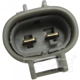 Purchase Top-Quality Radiator Fan Motor by TYC - 630280 pa10