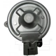 Purchase Top-Quality Radiator Fan Motor by TYC - 630660 pa13