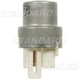 Purchase Top-Quality Radiator Fan Relay by BLUE STREAK (HYGRADE MOTOR) - RY123 pa14