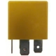 Purchase Top-Quality Radiator Fan Relay by BLUE STREAK (HYGRADE MOTOR) - RY1372 pa8