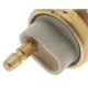 Purchase Top-Quality Radiator Fan Switch by BLUE STREAK (HYGRADE MOTOR) - TS171 pa3