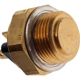 Purchase Top-Quality Radiator Fan Switch by BLUE STREAK (HYGRADE MOTOR) - TS262 pa3