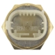 Purchase Top-Quality Radiator Fan Switch by BLUE STREAK (HYGRADE MOTOR) - TS578 pa2