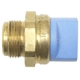 Purchase Top-Quality Radiator Fan Switch by BLUE STREAK (HYGRADE MOTOR) - TS606 pa1