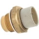 Purchase Top-Quality Radiator Fan Switch by BLUE STREAK (HYGRADE MOTOR) - TS164 pa6