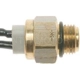Purchase Top-Quality Radiator Fan Switch by BLUE STREAK (HYGRADE MOTOR) - TS189 pa1