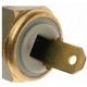 Purchase Top-Quality Radiator Fan Switch by BLUE STREAK (HYGRADE MOTOR) - TS230 pa4