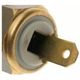 Purchase Top-Quality Radiator Fan Switch by BLUE STREAK (HYGRADE MOTOR) - TS230 pa8