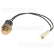 Purchase Top-Quality Radiator Fan Switch by BLUE STREAK (HYGRADE MOTOR) - TS246 pa2