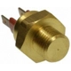Purchase Top-Quality Radiator Fan Switch by BLUE STREAK (HYGRADE MOTOR) - TS247 pa6