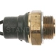 Purchase Top-Quality Radiator Fan Switch by BLUE STREAK (HYGRADE MOTOR) - TS258 pa1