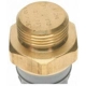 Purchase Top-Quality Radiator Fan Switch by BLUE STREAK (HYGRADE MOTOR) - TS537 pa6