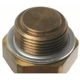 Purchase Top-Quality Radiator Fan Switch by BLUE STREAK (HYGRADE MOTOR) - TS539 pa7