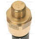 Purchase Top-Quality Radiator Fan Switch by BLUE STREAK (HYGRADE MOTOR) - TS546 pa3