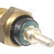 Purchase Top-Quality Radiator Fan Switch by BLUE STREAK (HYGRADE MOTOR) - TS613 pa2