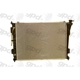 Purchase Top-Quality Radiator by GLOBAL PARTS DISTRIBUTORS - 13191C pa1