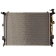 Purchase Top-Quality Radiator - HY3010163 pa1