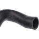 Purchase Top-Quality Radiator Or Coolant Hose by URO - 11531287651 pa5