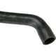 Purchase Top-Quality Radiator Or Coolant Hose by URO - 11537581063PRM pa1