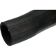Purchase Top-Quality Radiator Or Coolant Hose by URO - NBC2273AB pa6