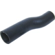 Purchase Top-Quality Radiator Or Coolant Hose by URO - XR810208 pa1