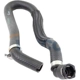 Purchase Top-Quality Radiator Or Coolant Hose by VAICO - V20-1300 pa10