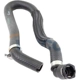 Purchase Top-Quality Tuyau de radiateur ou liquide de refroidissement de VAICO - V20-1300 pa10