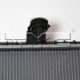 Purchase Top-Quality Radiator by TYC - 13142 pa3