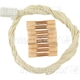 Purchase Top-Quality Radio Connector by BLUE STREAK (HYGRADE MOTOR) - S1543 pa1