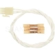 Purchase Top-Quality Radio Connector by BLUE STREAK (HYGRADE MOTOR) - S1210 pa14