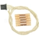 Purchase Top-Quality Radio Connector by BLUE STREAK (HYGRADE MOTOR) - S1310 pa5