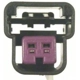 Purchase Top-Quality Radio Connector by BLUE STREAK (HYGRADE MOTOR) - S1346 pa1