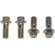 Purchase Top-Quality Rear Banjo Bolt (Pack of 4) by CARLSON - H9458 pa6