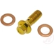 Purchase Top-Quality RAYBESTOS - H9502 - Rear Banjo Bolt pa4