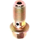 Purchase Top-Quality RAYBESTOS - H9502 - Rear Banjo Bolt pa5