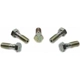 Purchase Top-Quality Rear Banjo Bolt (Pack of 5) by RAYBESTOS - H5377 pa2