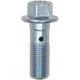Purchase Top-Quality Rear Banjo Bolt by RAYBESTOS - H5380 pa2