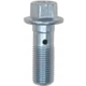 Purchase Top-Quality Rear Banjo Bolt by RAYBESTOS - H5380 pa3