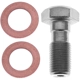 Purchase Top-Quality Rear Banjo Bolt by RAYBESTOS - H5386 pa2