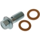Purchase Top-Quality RAYBESTOS - H9502 - Rear Banjo Bolt pa3