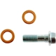 Purchase Top-Quality Rear Banjo Bolt by RAYBESTOS - H9505 pa3