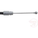 Purchase Top-Quality Rear Brake Cable by RAYBESTOS - BC97140 pa5