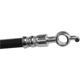 Purchase Top-Quality Rear Brake Hose by BRAKEBEST - BH380124 pa3