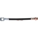 Purchase Top-Quality Rear Brake Hose by BRAKEBEST - BH380483 pa4