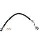 Purchase Top-Quality Rear Brake Hose by BRAKEBEST - BH620781 pa1