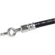 Purchase Top-Quality Rear Brake Hose by BRAKEBEST - BH621068 pa2
