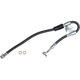 Purchase Top-Quality Rear Brake Hose by BRAKEBEST - BH621778 pa2