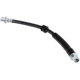 Purchase Top-Quality Rear Brake Hose by CENTRIC PARTS - 150.22005 pa9