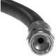 Purchase Top-Quality Rear Brake Hose by CENTRIC PARTS - 150.33010 pa13